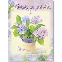 Get Well Card (Pack of 6)