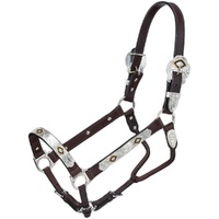 Gold &amp; Black Silver Show Halter, Full