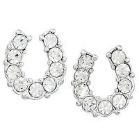 Clear Rhinestone Horseshoe Earrings